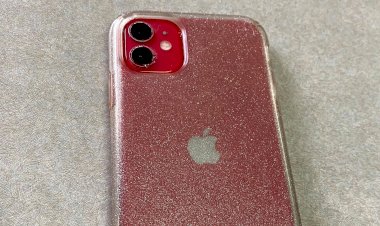 iPhone 11 bị rơi xuống hồ 2 tháng, khi tìm lại vẫn hoạt động bình thường