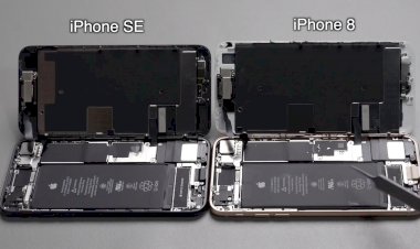 Mổ bụng iPhone SE 2020 và iPhone 8, giống nhau như 2 giọt nước.