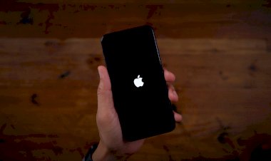 Jailbreak iOS 13.5 sẽ sớm ra mắt do phát hiện lỗ hổng mới.