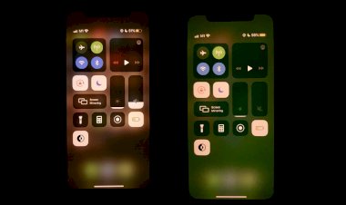 Nhiều iPhone gặp hiện tượng ám xanh màn hình sau khi mở khoá máy