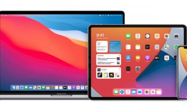 Cách đăng ký và nâng cấp iOS 14 Beta để trải nghiệm