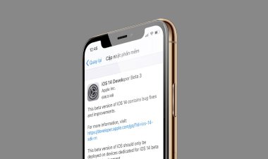 Apple phát hành iOS / iPadOS 14 beta 3, watchOS 7 beta 3
