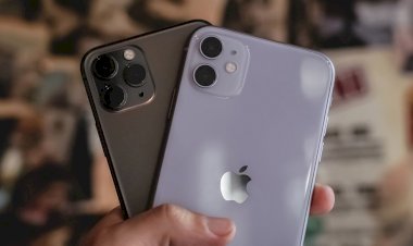 Apple khảo sát và đang xem xét về việc sản xuất iPhone tại Việt Nam