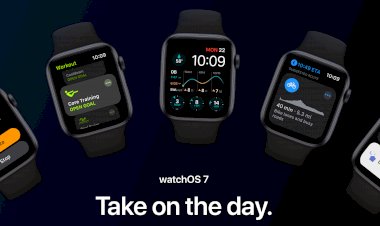 Apple phát hành watchOS 7 Public Beta 1 tới tất cả người dùng