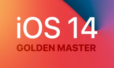 Apple phát hành iOS 14 và iPadOS 14 GM tới các nhà phát triển