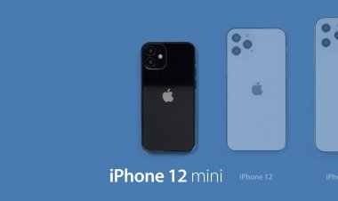 iPhone 12 sẽ bao gồm iPhone 12 Mini, iPhone 12, iPhone 12 Pro và iPhone 12 Pro Max