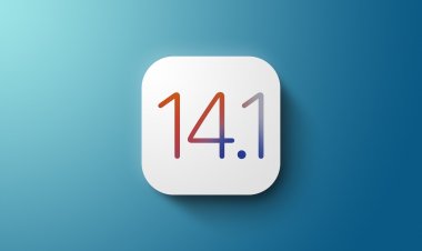Apple phát hành iOS 14.1, iPad OS 14.1 và iOS 14.2 beta 3, iPad OS 14.2 beta 3 tới các nhà phát triển