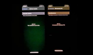 Apple đang kiểm tra lỗi hiển thị màn hình trên series iPhone 12