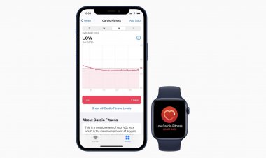 watchOS 7.2 chính thức phát hành với Apple Fitness +