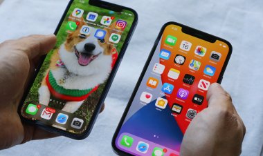 BOE bắt đầu cung cấp panel OLED cho iPhone 12