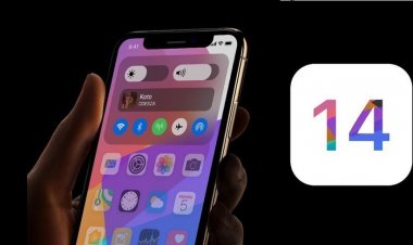 Có đến 80% iPhone và 70% iPad đã cập nhật lên iOS 14 và iPadOS 14