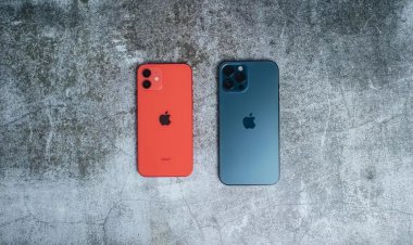 Chuyên gia dự đoán Apple sẽ đạt kỷ lục doanh số iPhone, bán được hơn 240 triệu máy trong năm nay