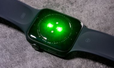 Apple Watch đáng tin cậy trong việc chẩn đoán lâm sàng các bệnh về tim của người dùng