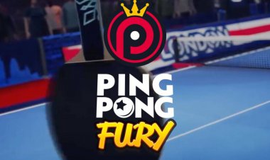 Ping Pong Fury