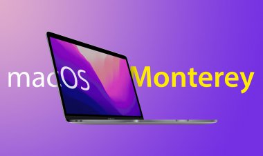 Apple phát hành bản public của macOS Monterey 12,  iOS 15, iPadOS 15 và developer beta của watchOS 8