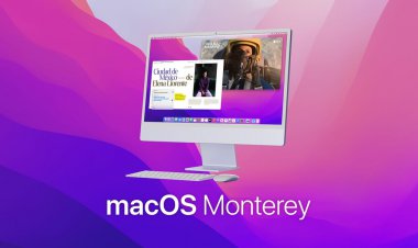 Apple phát hành iOS 15 Beta 8, tvOS 15 Beta 8, watchOS 8 beta 8 và macOS Monterey Beta 6 tới các nhà phát triển và người dùng thử nghiệm