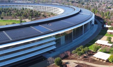 Nhân viên gửi thư cho Tim Cook yêu cầu điều tra vấn đề nội bộ công ty