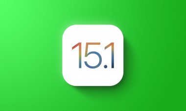 Apple phát hành iOS 15.1 beta, iPadOS 15.1 beta, watchOS 8.1 beta và tvOS 15.1 beta tới các nhà phát triển