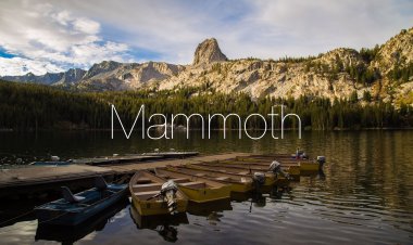 macOS 13 sẽ có tên là Mammoth?