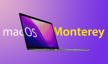 Apple phát hành bản cập nhật macOS Monterey 12.2 chính thức tới người dùng