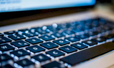 Nhiếp ảnh gia người Anh mắc kẹt lại Việt Nam vì mang Macbook Pro