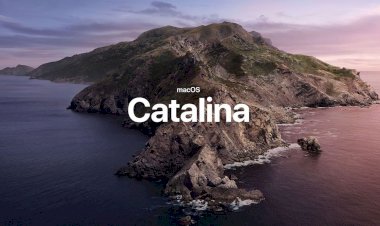 Apple phát hành bản Developer beta đầu tiên cho macOS Catalina